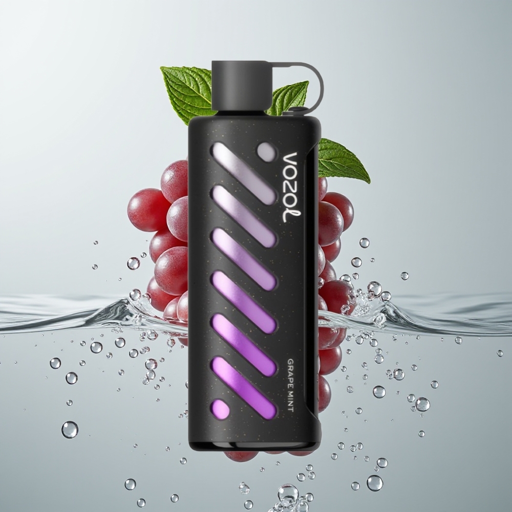 VOZOL Gear Shisha 25000 Pufov Dual Mesh Grape Mäta vape wholesale Slovakia