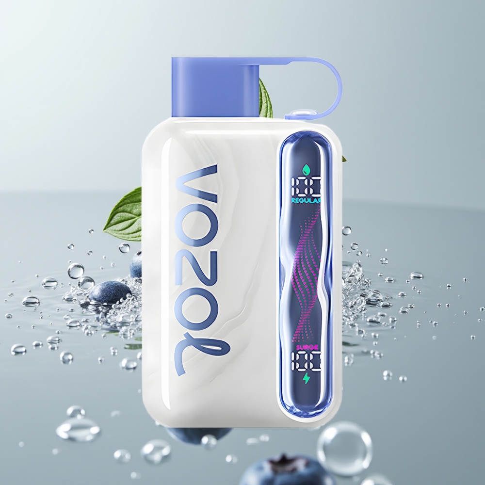 VOZOL STAR 40000 Puffs Disposable Vape 1000mAh Borovička Mäta