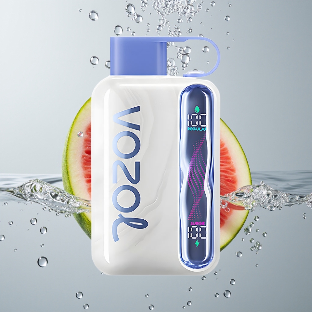 VOZOL STAR 40000 Puffs Disposable Vape 1000mAh Čučoriedka Melón Type-C