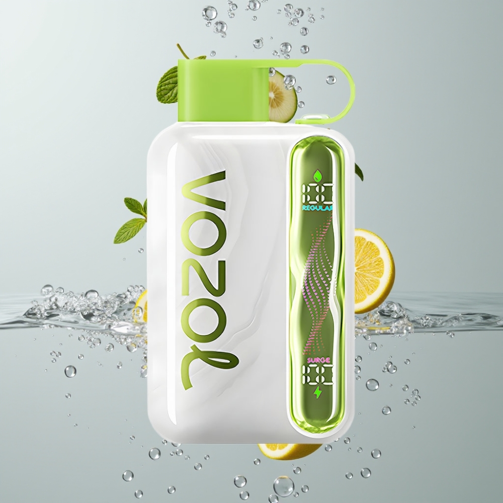 VOZOL STAR 40000 Puffs Disposable Vape Chladivá Mäta 1000mAh Type-C